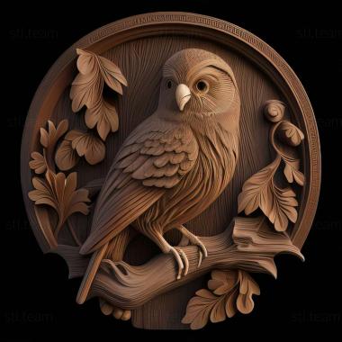 3D модель Glaucidium costaricanum (STL)